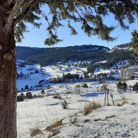 Apartamento Solano - Virgen De La Vega - Alcala Ideal Montana Y Relax Teruel Kültér fotó